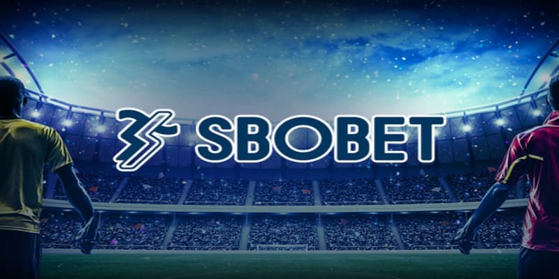 Tổng quan về sbobet nhà cái uy tín