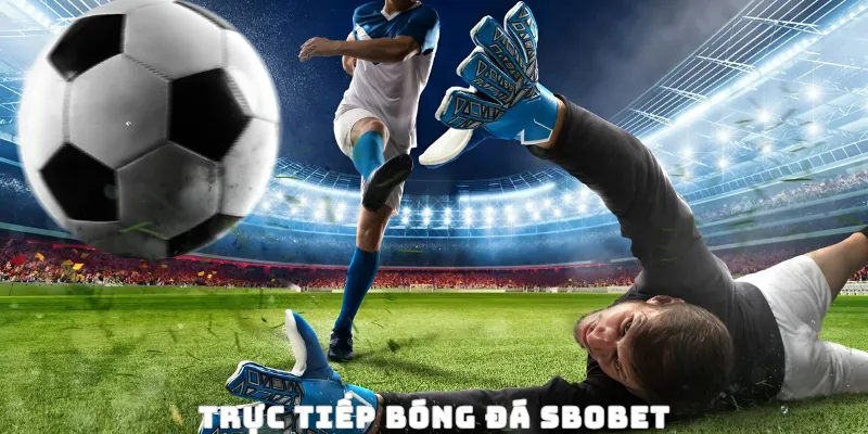 Theo dõi phát sóng trực tiếp bóng đá tại Sbobet